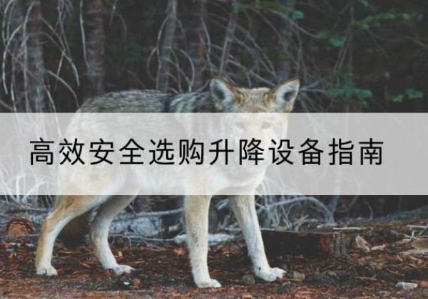 屏南升降货梯厂家推荐-*安全选购升降设备指南