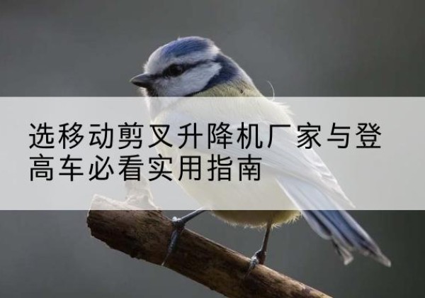 屏南电动升降机厂家-选移动剪叉升降机厂家与登高车必看实用指南
